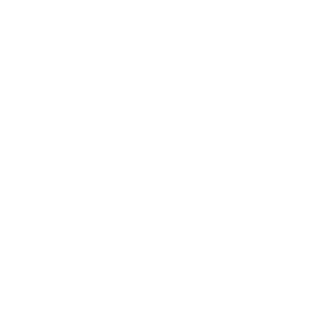 MP INVEST